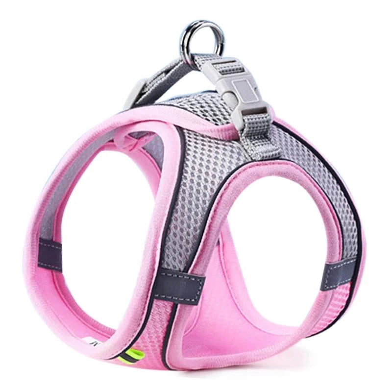 Reflective Mesh Pet Harness & Leash Set
