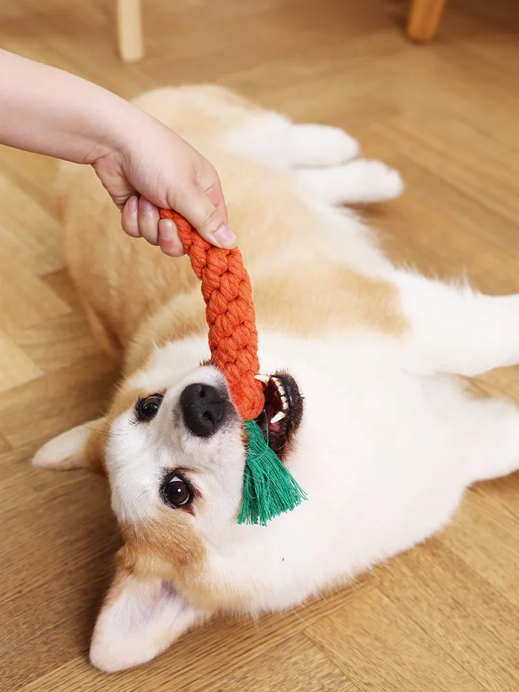 Carrot Rope Chew Toy for Small Dogs