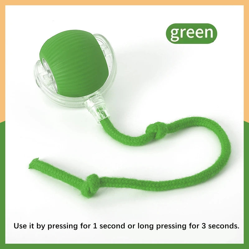 Interactive Moving Dog Toy Ball
