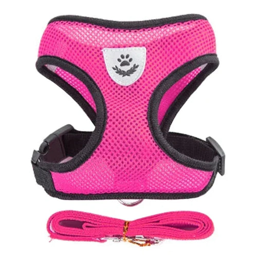 Adjustable Mesh Harness & Leash for Cats and Small Dogs