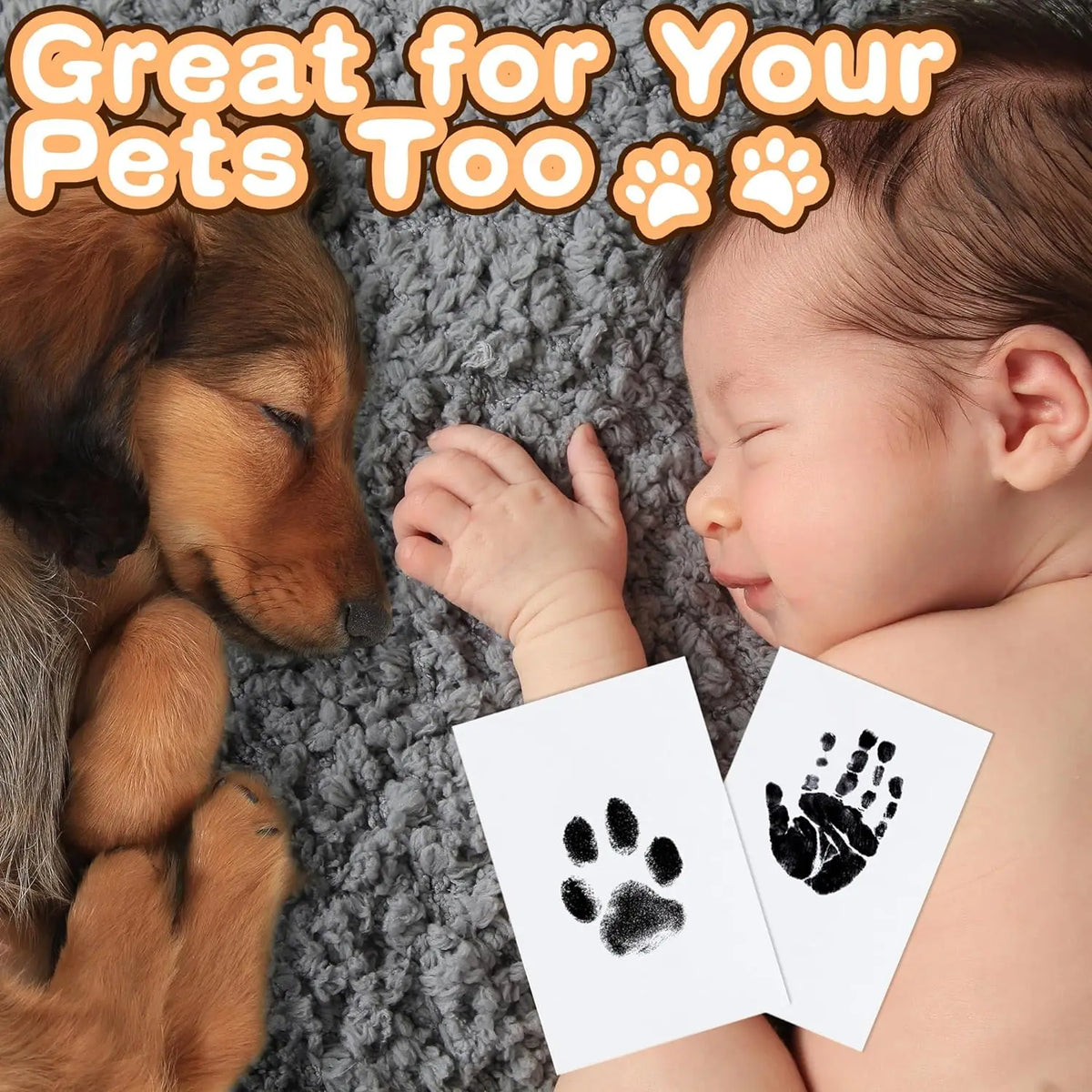 Clean-Touch Paw & Nose Print Keepsake Kit