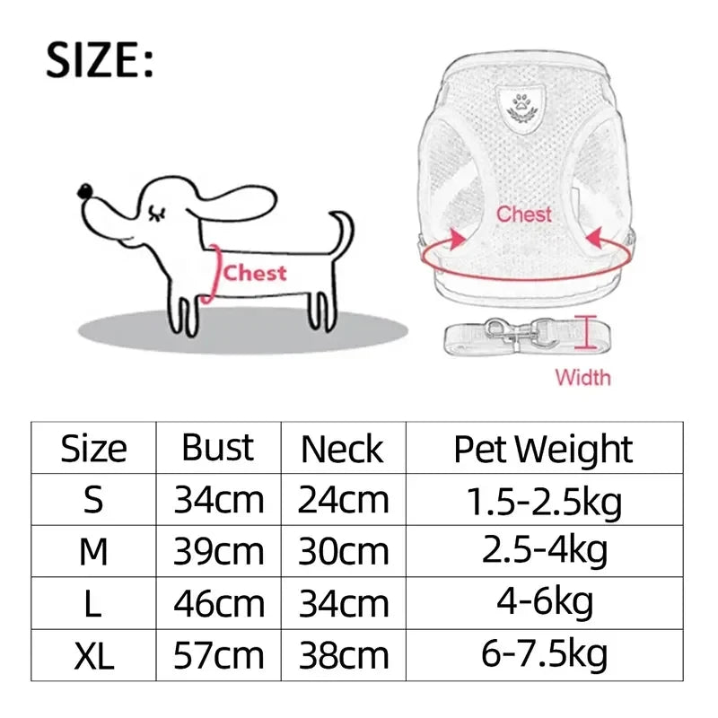 Adjustable Mesh Harness & Leash for Cats and Small Dogs