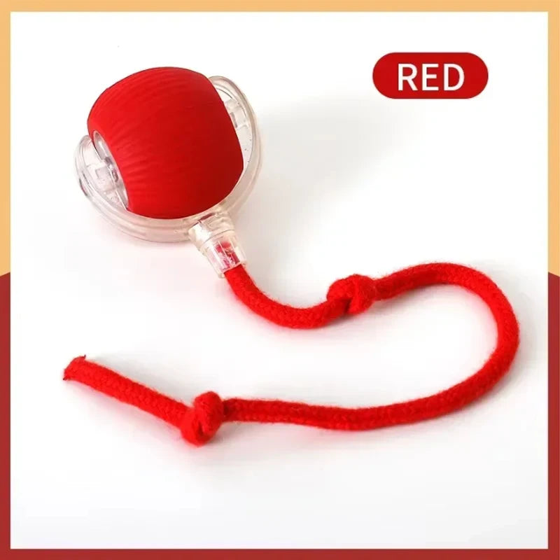ETPU Dog Bite-Resistant Ball Round Electric Non-Toxic Molar Ball Training Pet Dog Toy Ball Food Grade Certification