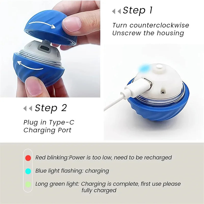 Interactive Moving Dog Toy Ball