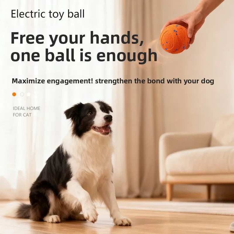 ETPU Dog Play Ball