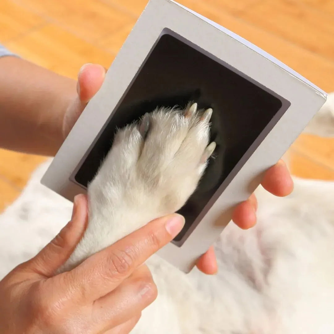 Clean-Touch Paw & Nose Print Keepsake Kit
