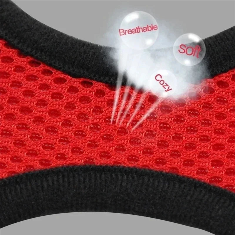 Adjustable Mesh Harness & Leash for Cats and Small Dogs
