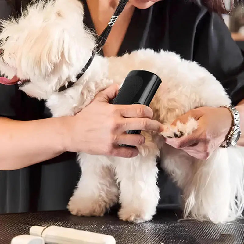 Ergonomic Pet Deshedding Brush