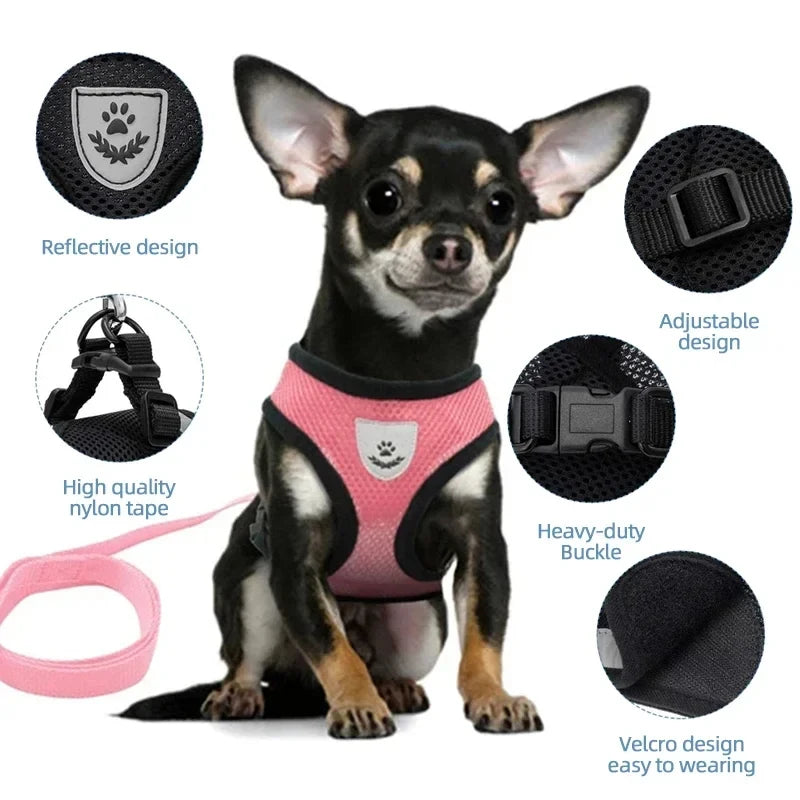 Adjustable Mesh Harness & Leash for Cats and Small Dogs