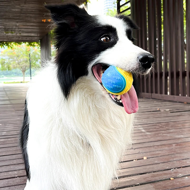 Soft TPR Squeaky Dog Ball