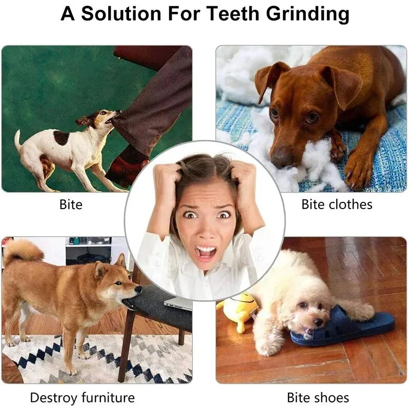 Treat-Dispensing Dog Toy Ball