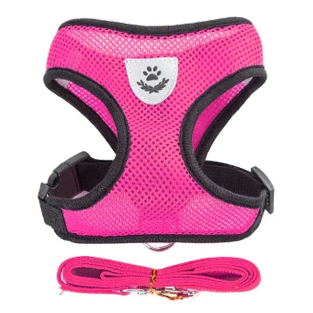 Adjustable Mesh Harness & Leash for Cats and Small Dogs