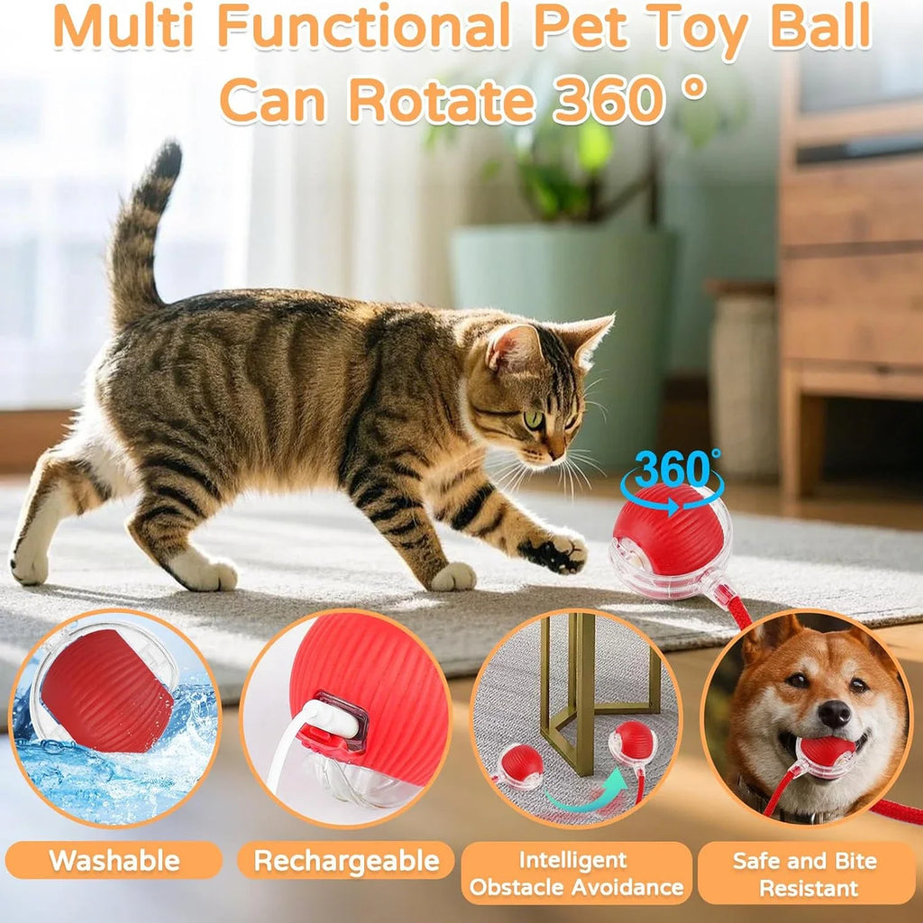 iLMH Rechargeable Rolling Cat Ball with Tail