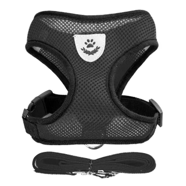 Adjustable Mesh Harness & Leash for Cats and Small Dogs