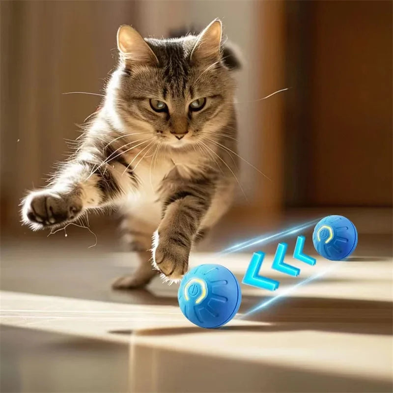 Interactive Moving Dog Toy Ball
