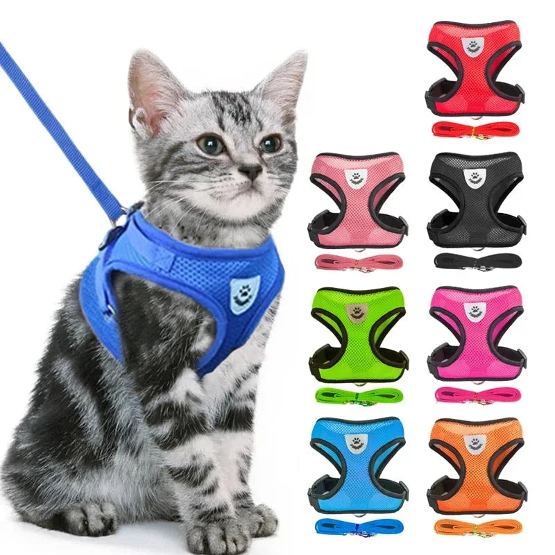 Adjustable Mesh Harness & Leash for Cats and Small Dogs