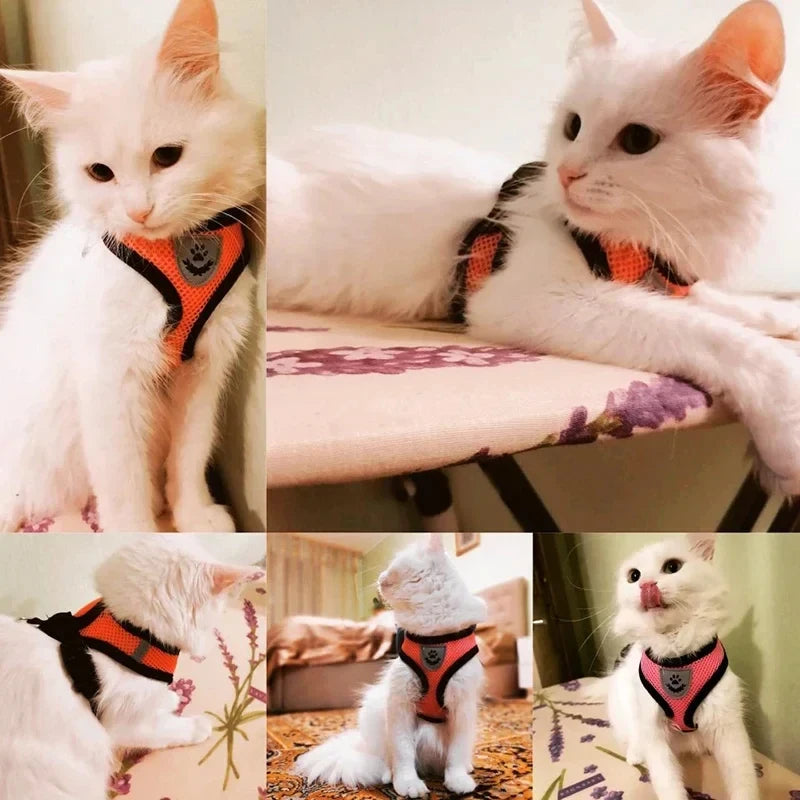 Adjustable Mesh Harness & Leash for Cats and Small Dogs