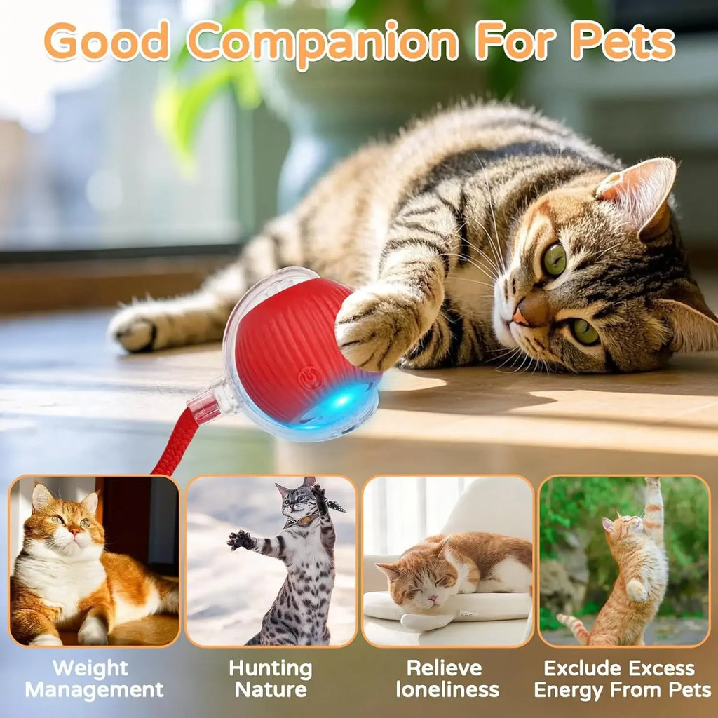 iLMH Rechargeable Rolling Cat Ball with Tail