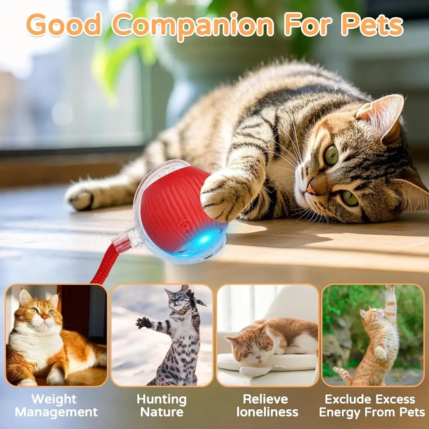 iLMH Rechargeable Rolling Cat Ball with Tail