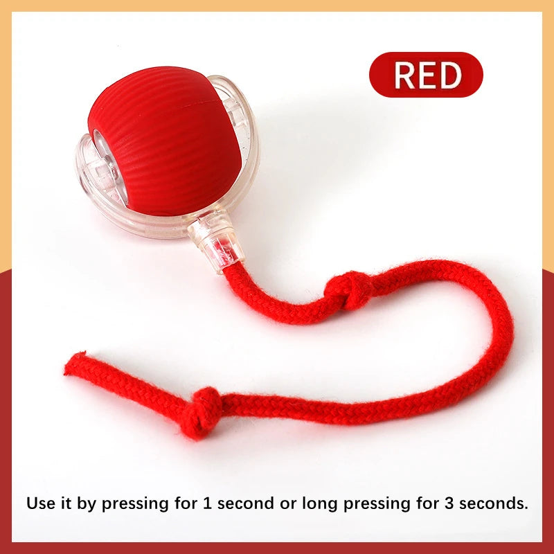 Interactive Moving Dog Toy Ball