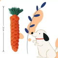 Carrot Rope Chew Toy for Small Dogs