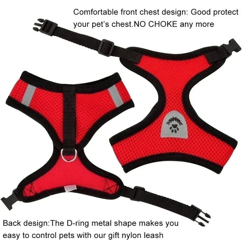 Adjustable Mesh Harness & Leash for Cats and Small Dogs