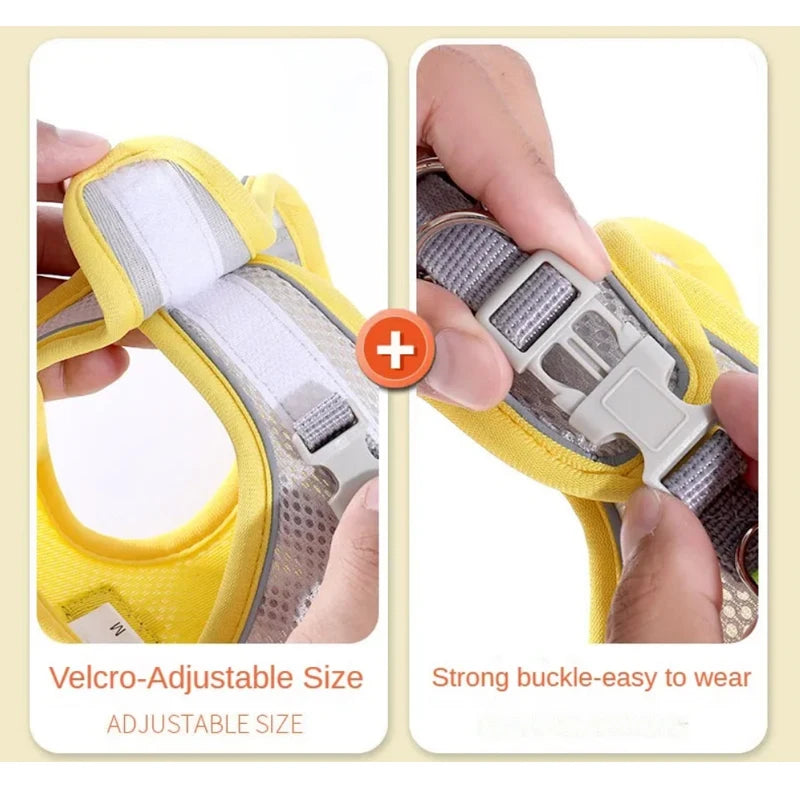 Reflective Mesh Pet Harness & Leash Set